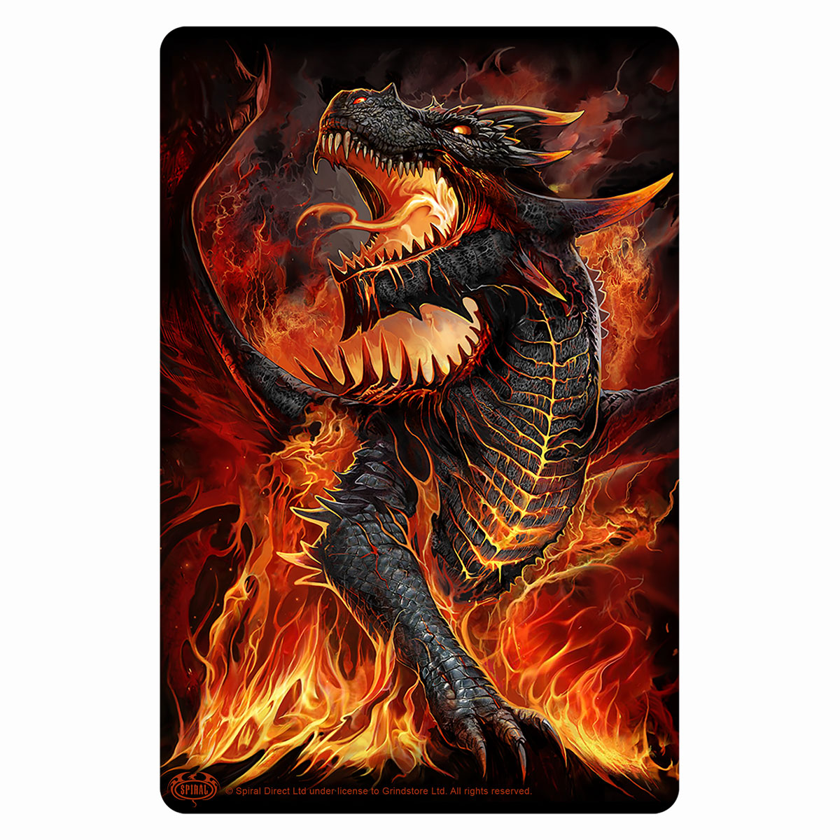 DRACONIS - Greet Tin Metal Cards